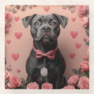 American Staffordshire mit Rosen -Valentinstag Glasuntersetzer