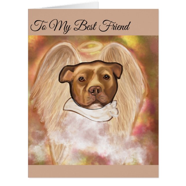 American Staffordshire Terrier (Vorderseite)