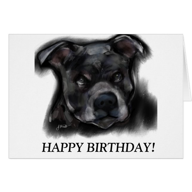 American Staffordshire Terrier (Vorderseite (Horizontal))