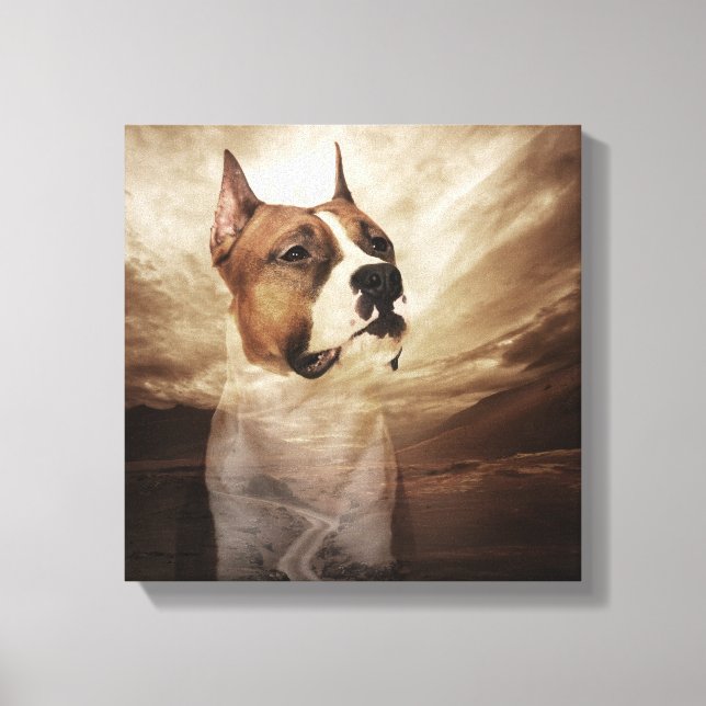 American Staffordshire Terrier - Amstaff Leinwanddruck (Vorderseite)