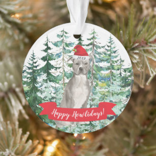 American Staffordshire terrier Chien Noël