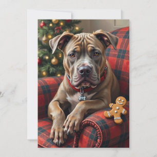 American Staffordshire Terrier Cozy Weihnachten