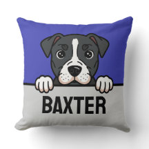 American Staffordshire Terrier Custom Amstaff Dog