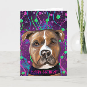 AMERICAN STAFFORDSHIRE TERRIER DANKESKARTE