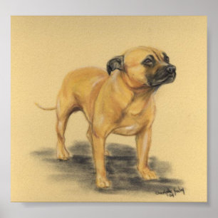 "American Staffordshire Terrier" Dog Art Print Poster