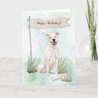 American Staffordshire Terrier Dog Under Birthday