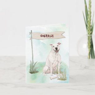 American Staffordshire Terrier Gratulationen