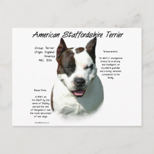 American Staffordshire Terrier History, Postkarte