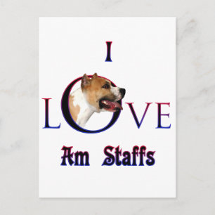 American Staffordshire Terrier I Liebe Postkarte