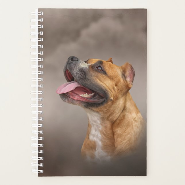 American Staffordshire Terrier Planer (Vorderseite)