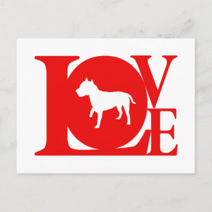 American Staffordshire Terrier Postkarte