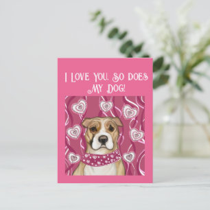 AMERICAN STAFFORDSHIRE TERRIER POSTKARTE
