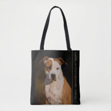 American Staffordshire Terrier