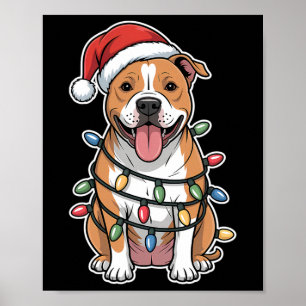 American Staffordshire Terrier ummantelt in Christ Poster