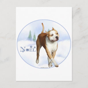 American Staffordshire Terrier Weihnachten
