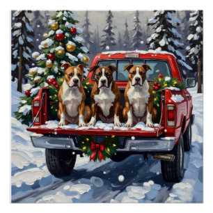 American Staffordshire Terrier Weihnachten Rotes L Poster