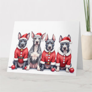 American Staffordshire Terrier Weihnachtskleid Karte