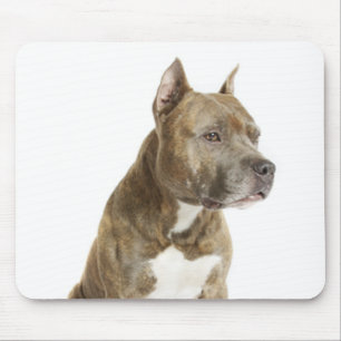 American Staffordshire Terrier Welpen-Mauspad Mousepad