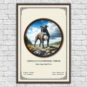 American Staffordshire Terrier Zoologie-Serie Poster