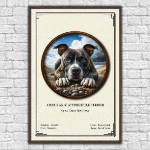 American Staffordshire Terrier Zoologie-Serie Poster