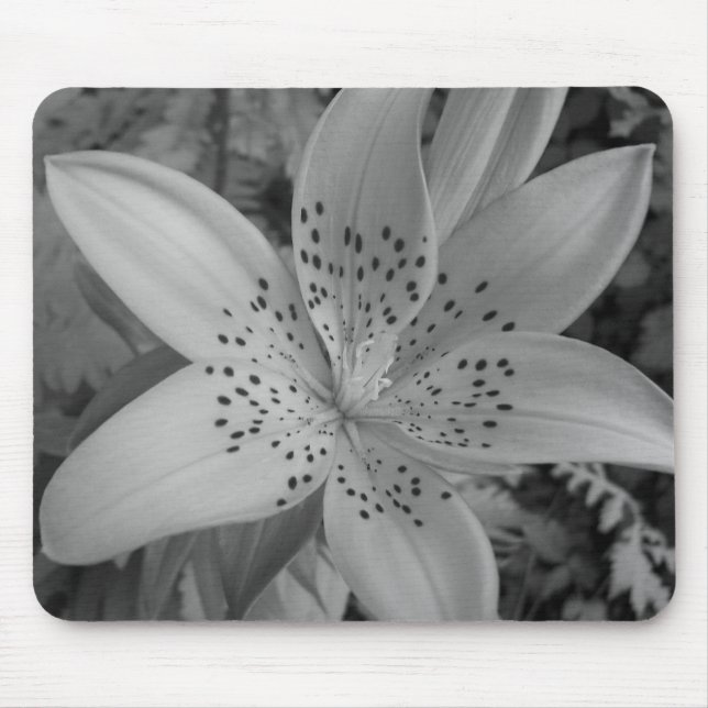 American Tiger Lily Mousepad (Vorne)