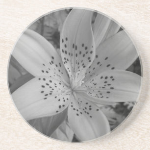 American Tiger Lily Untersetzer