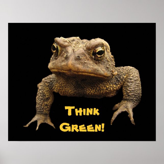 American Toad Earth Day Poster (Vorne)