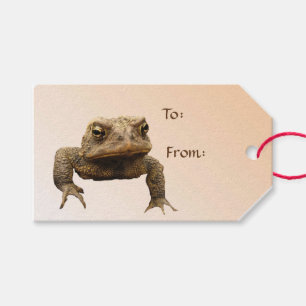 American Toad Pack mit Geschenkartikeln Geschenkanhänger