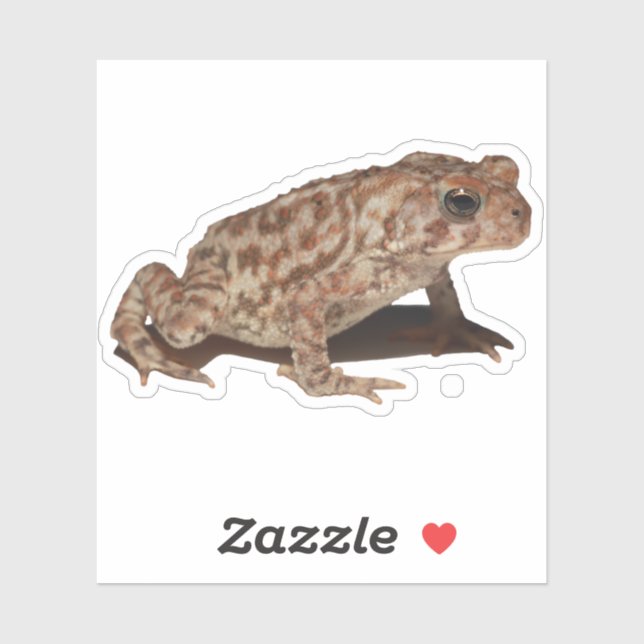 American Toad Vinyl Sticker (Blatt)