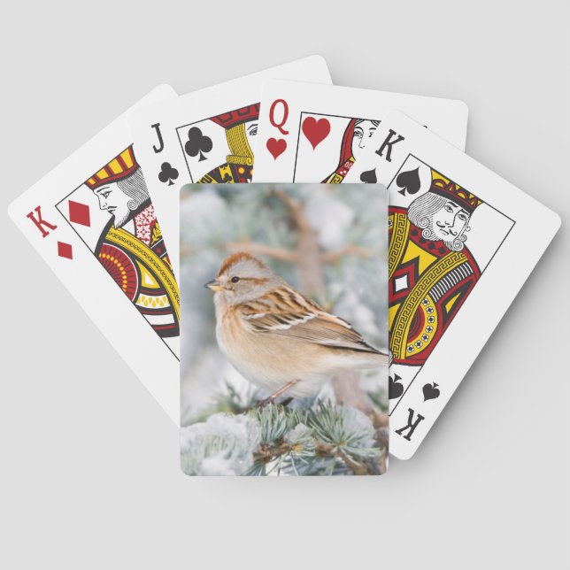 American Tree Sparrow im Winter Spielkarten (Rückseite)