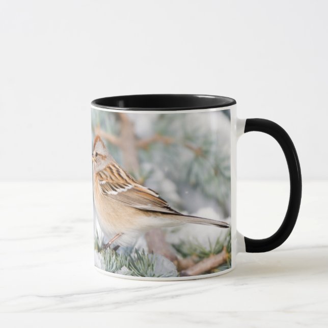 American Tree Sparrow im Winter Tasse (Rechts)