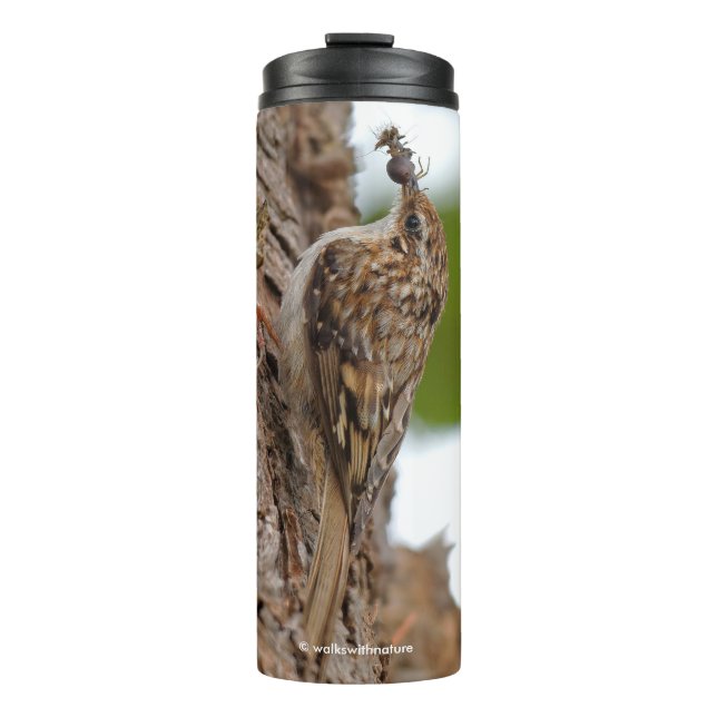 American Treecreeper mit Bug Thermosbecher (Vorderseite)