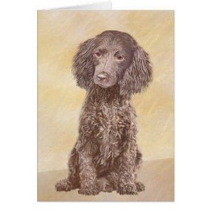 American Water Spanel Malerei - Original Dog Art