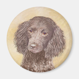 American Water Spanel Malerei - Original Dog Art Magnet