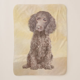 American Water Spanel Malerei - Original Dog Art Sherpadecke