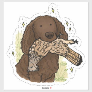 American Water Spaniel Auto-Aufkleber Aufkleber