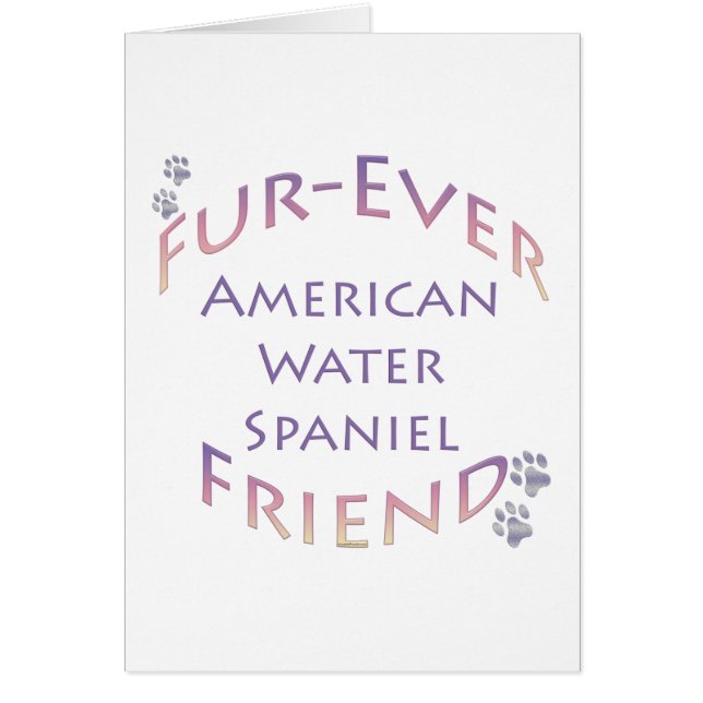 American Water Spaniel Furever (Devant)