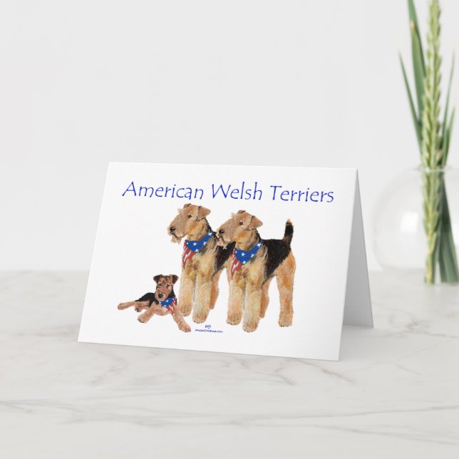 American Welsh Terriers Karte (Vorderseite)