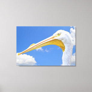 American White Pelican Canvas Print Leinwanddruck