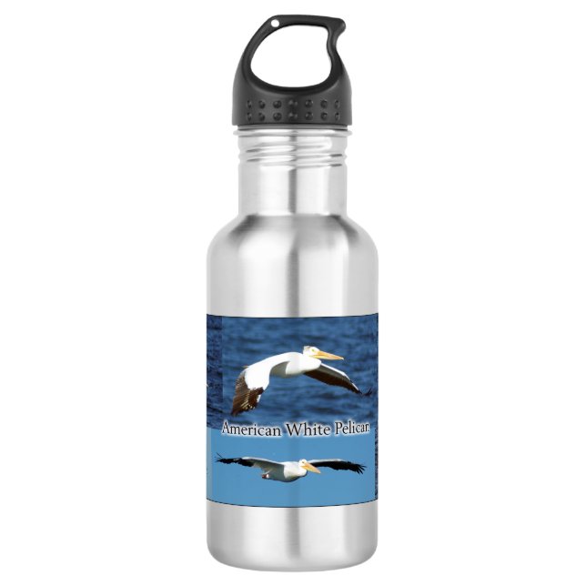 American White Pelican Water Flasche Edelstahlflasche (Vorderseite)