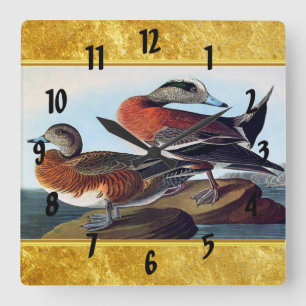 American Widgeon ducks on a rock Quadratische Wanduhr