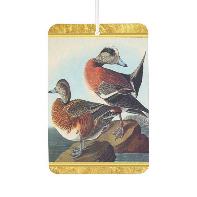 American Widgeon Enten auf Felsen Autolufterfrischer (Vorderseite)