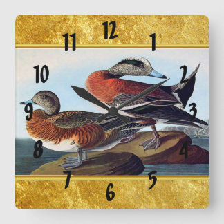American Widgeon Enten auf Felsen Quadratische Wanduhr