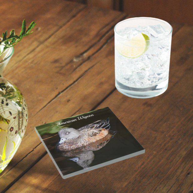 American Widgeon Wildlife Foto Glasuntersetzer (In Situ Glass)