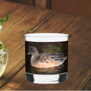 American Wigeon Duck Hen on Pond Whiskyglas