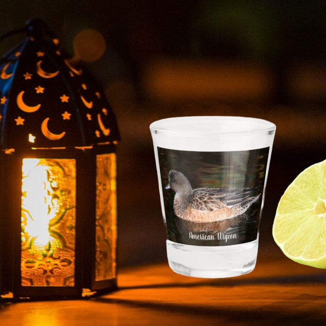 American Wigeon Wildlife Foto Schnapsglas (In Situ)