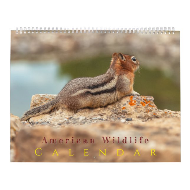 American Wildlife Kalender (Titelbild)