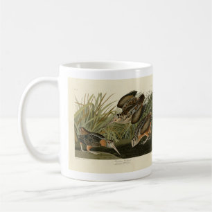 American Woodcock von Audubons Vögeln von Amerika Kaffeetasse
