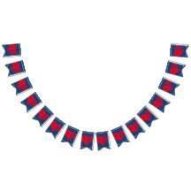 Americana 4. Juli Bunting