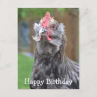 Americana Rooster Happy Birthday
